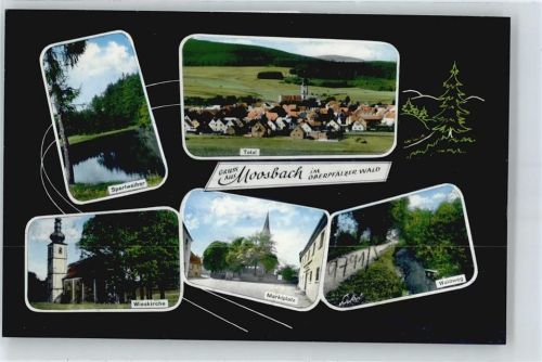 Moosbach Waldweg