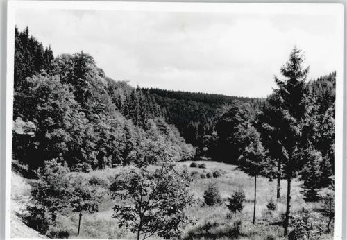 Nonnweiler