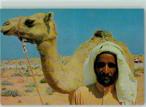 A bedouin with his camel