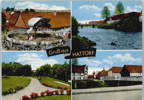 Hattorf Storchennest