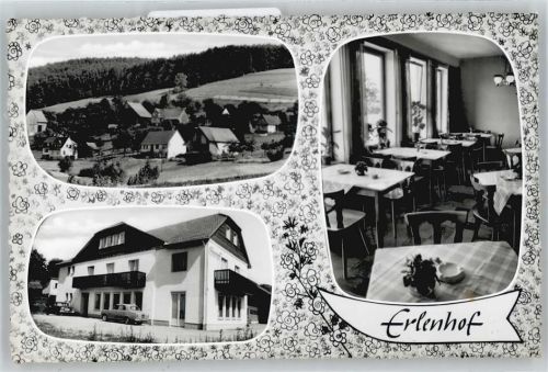 Erbach Gasthaus Pension Erlenhof