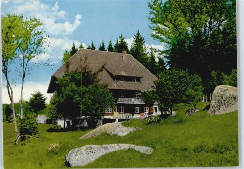 Schonach Restaurant, Pension Bergwaldhof