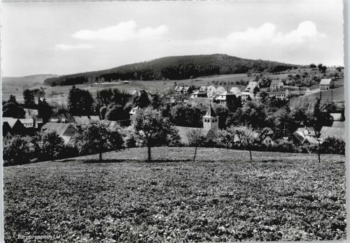 97496 W8729 Burgpreppach