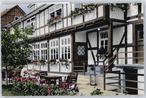 Marienhagen Haus Blumen Tür Fenster Treppe