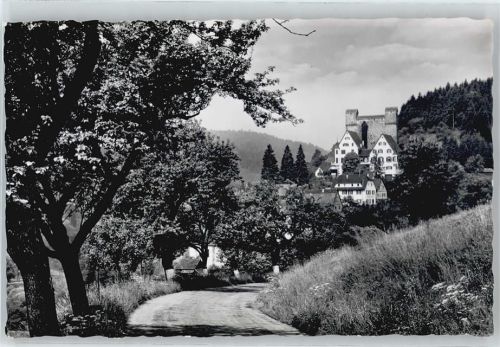 Altensteig Gasthaus Pension zum Rössle Straße Baum