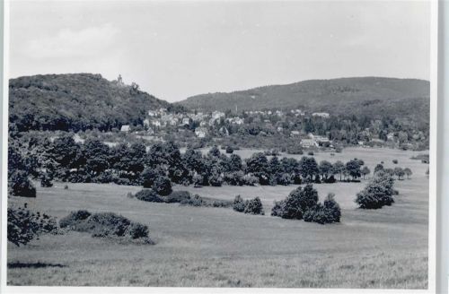 Falkenstein Foto Feld Berg Baum Haus