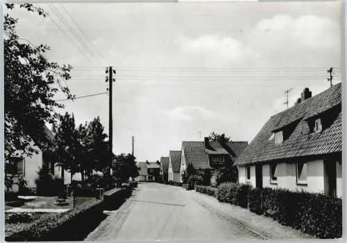Echte Straße Haus Baum