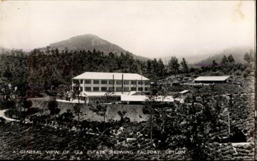 Ceylon