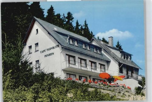 Schwalefeld Cafe Pension Fernblick Baum Balkon