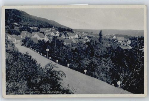Dannenfels