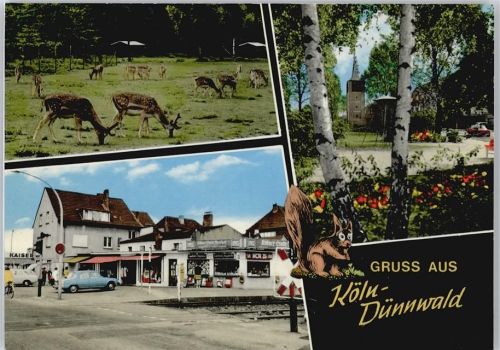 Köln Dünnwald 907