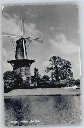 Leiden Windmühle
