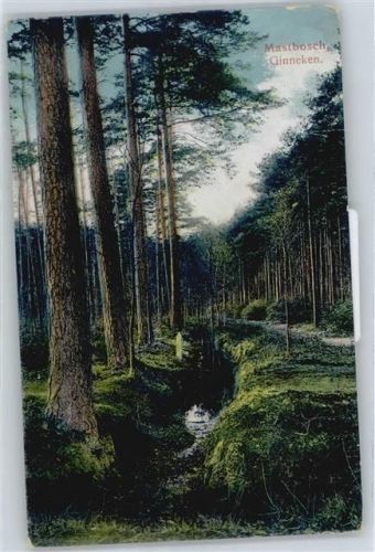 Breda Mastbosch Ginneken Wald Bach