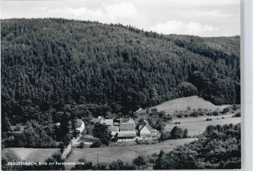Krausenbach Gaststätte, Pension Ferschenmühle