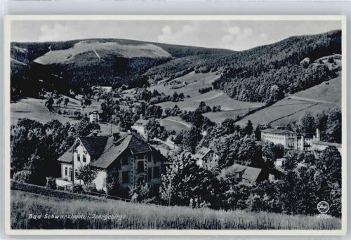 Bad Flinsberg Berg Panorama