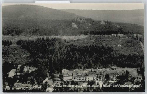Schierke Berg Wald Hotel Heinrich Heine
