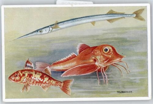 P.S.Bertault , Fische AKU2