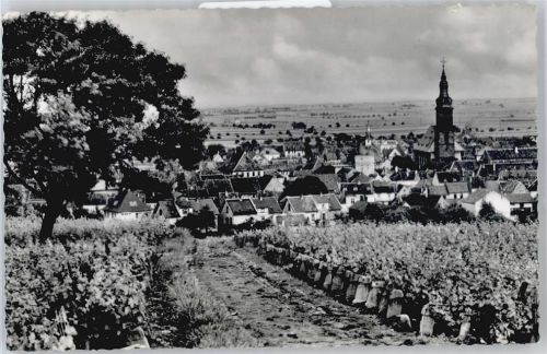 Grünstadt