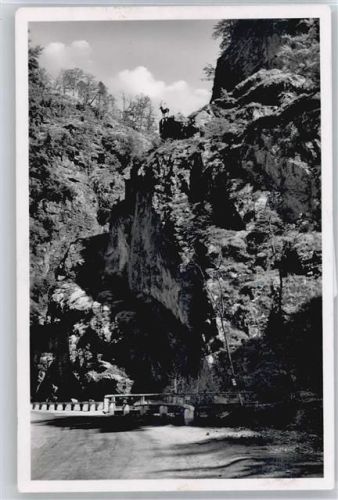 Falkensteig Hirschsprung