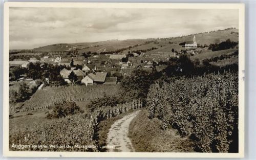 79424 W7841 Auggen - Teilansicht, Weinanbau