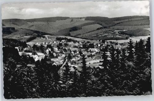 Hilchenbach Panorama Berg