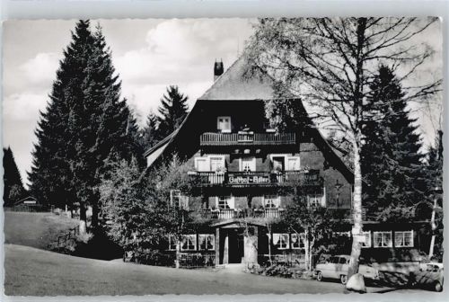 Altglashütten Hotel Adler Baum Wiese Auto
