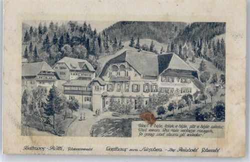 79682 W7865 Todtmoos - Gasthaus zum Hirschen (Eckknick)