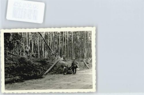 Wehrmacht , Foto