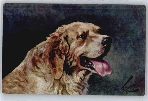 G.Kowalsky , St. Bernhardiner Hund