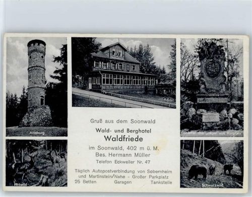 Eckweiler Alteburg, Rotwild, Schwarzwild, Denkmal des Jäger aus Kurpfalz, Wald- und Berghotel Waldfriede