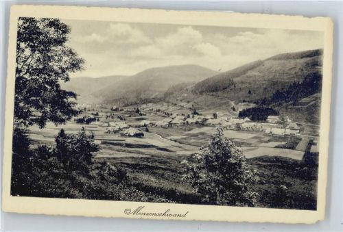 Menzenschwand Gesamtansicht