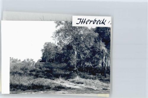 Itterbeck Foto mit Negativ