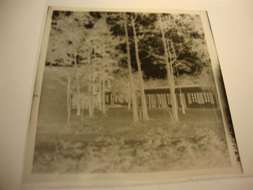 Stuckenborstel Negativ