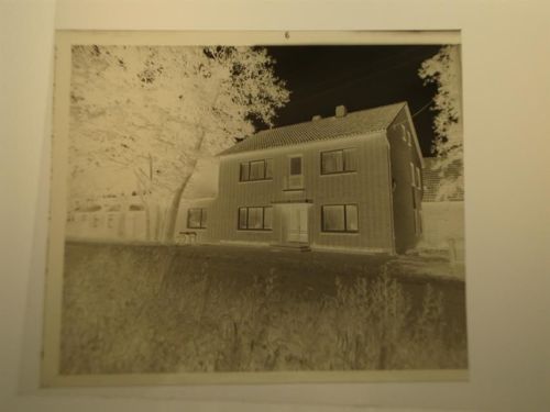 Rathlosen Negativ