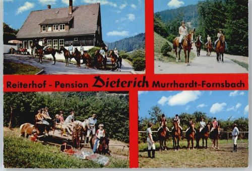 71540 W7157 Murrhardt - Reiterhof Dieterich AKU2