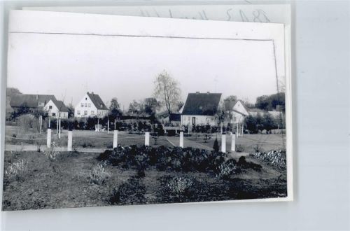 Hassel Foto mit Negativ
