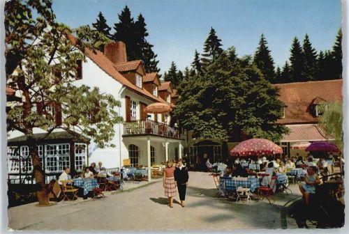 Leopoldstal gel. 03.05.63, Waldhotel und Pension Silbermühle Inh. W. Schäfer