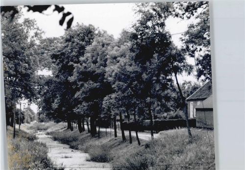 Stiekelkamperfehn Foto mit Negativ