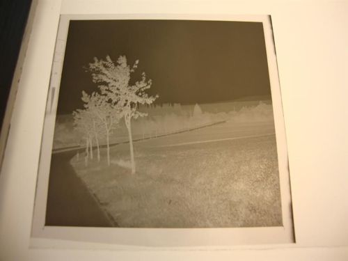 Beierstedt Negativ