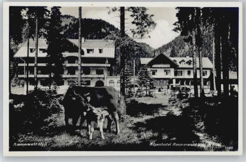 8232 Seibersdorf am Hammerwald - Alpenhotel , Kühe