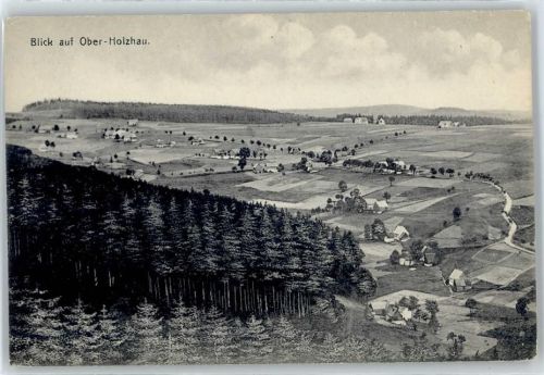 Holzhau