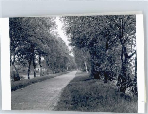 Winkelmoor Foto mit Negativ