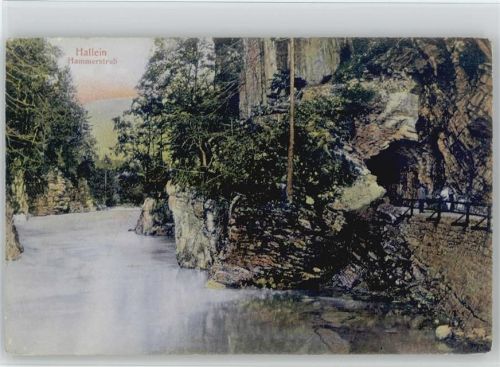 Hallein Salzburger Land Hammerstrub