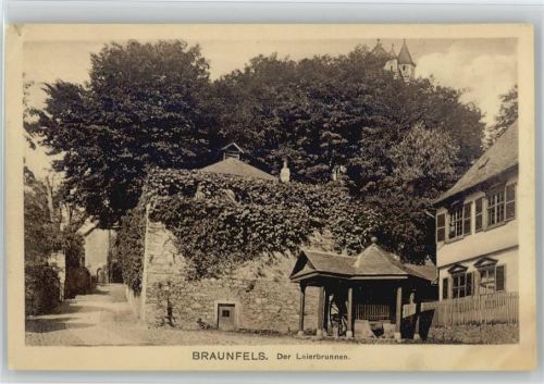 Braunfels Leierbrunnen