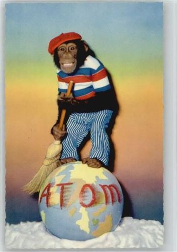 Humor Umwelt Atomkrieg Affe