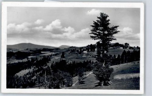 Gross Karlowitz, Solan