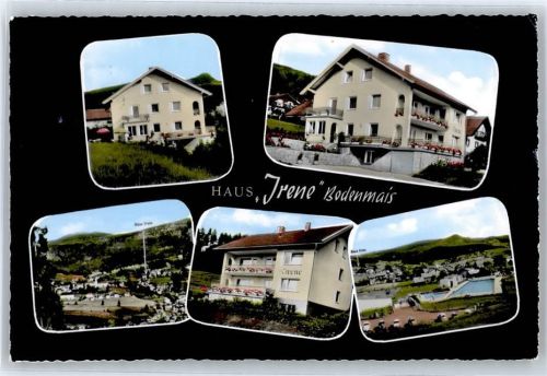 Bodenmais Pension Haus Irene, Schwimmbad