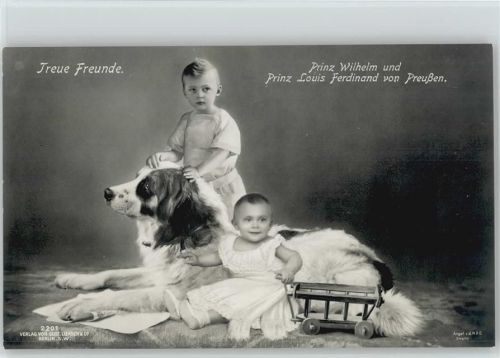 Hund Bernhardiner Prinz Wilhelm Liersch Verlag