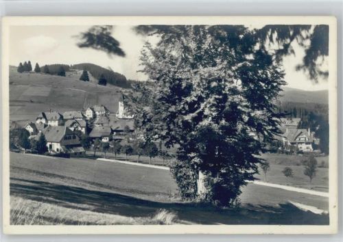 Altglashütten