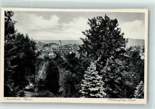 Lauterbach Blick auf die Stadt Teilansicht